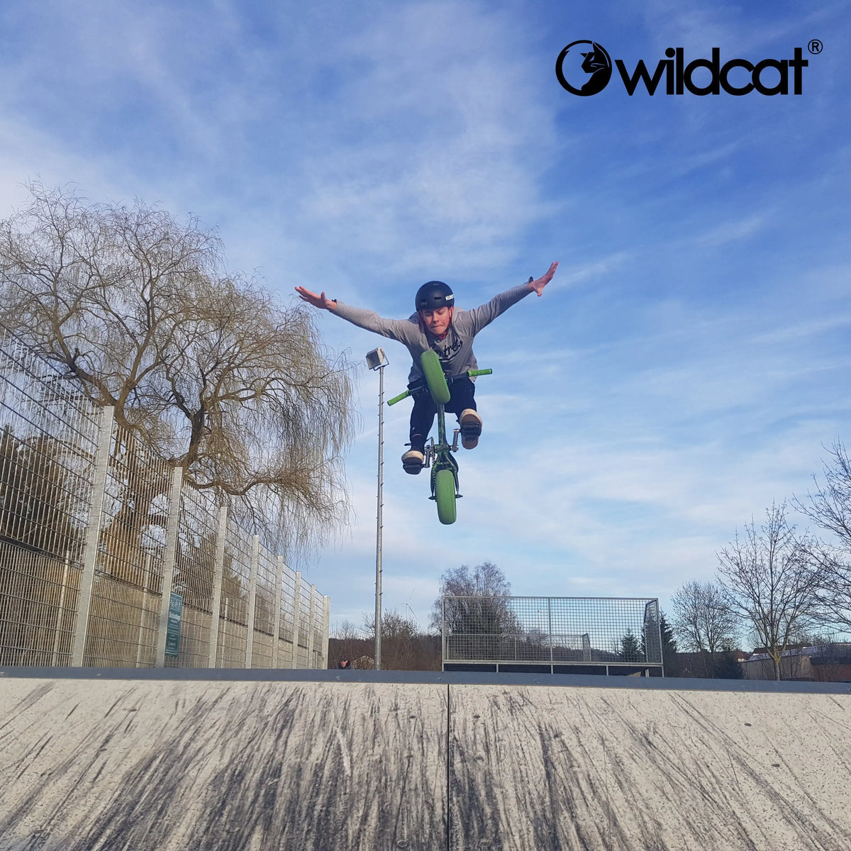 Wildcat Mini BMX bike stunts and riding tips