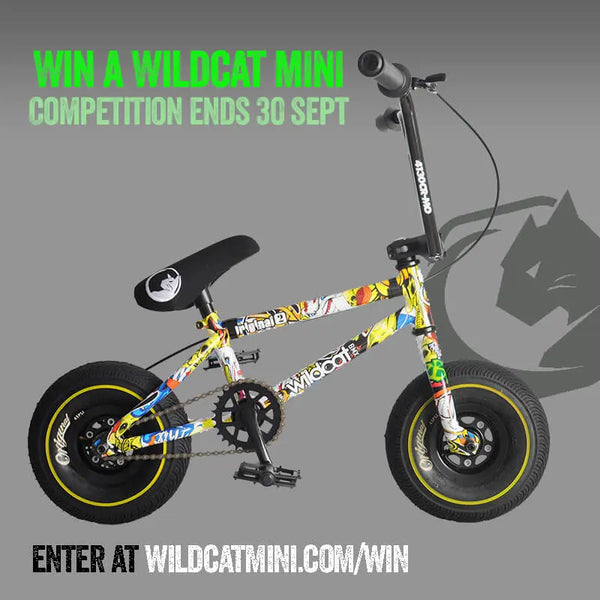 レネン Hive Mini BMX クランク 140mm（中古・美品) Win a Wildcat Mini BMX Original 2A Crazy Boy - Wildcat Mini BMX