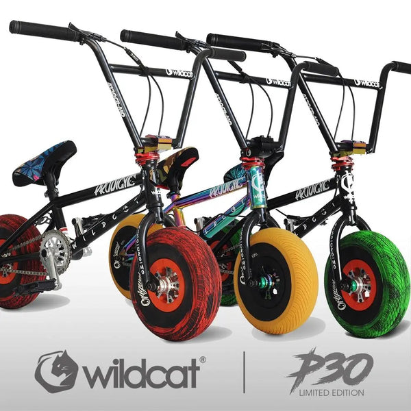 Wildcat Mini BMX Pro Series P30 Chromoly BMX