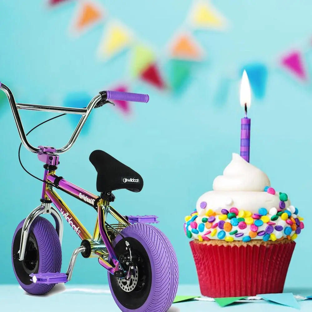 Happy 1st Birthday Wildcat Mini BMX USA