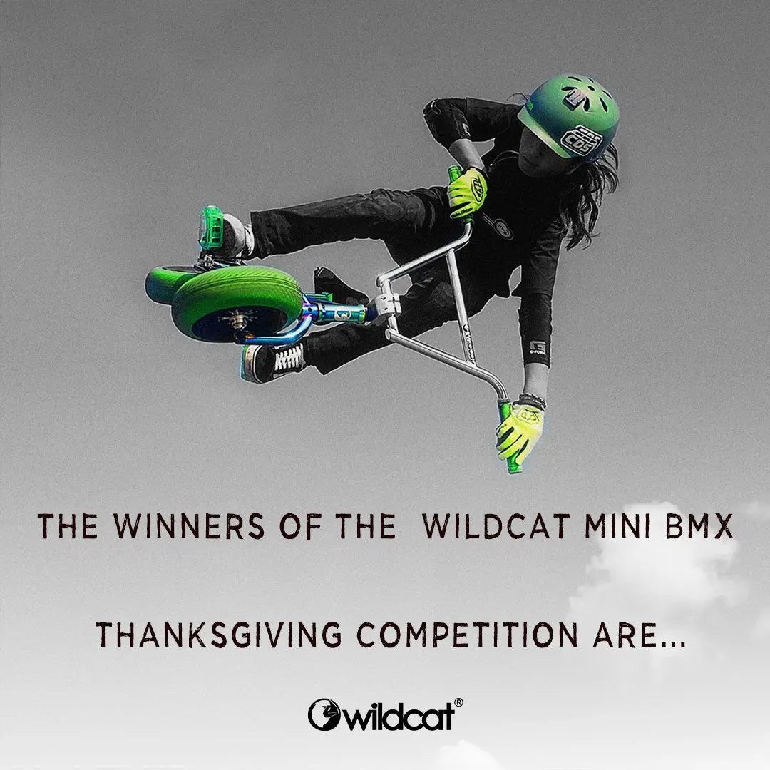 The Winners of the Wildcat Mini BMX Thanksgiving competition are