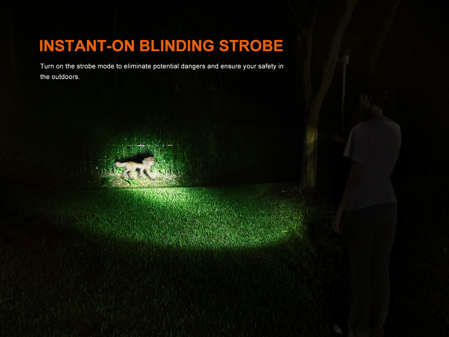 Fenix LD35R High Performance Multimode Tactical Flashlight Fenix Store