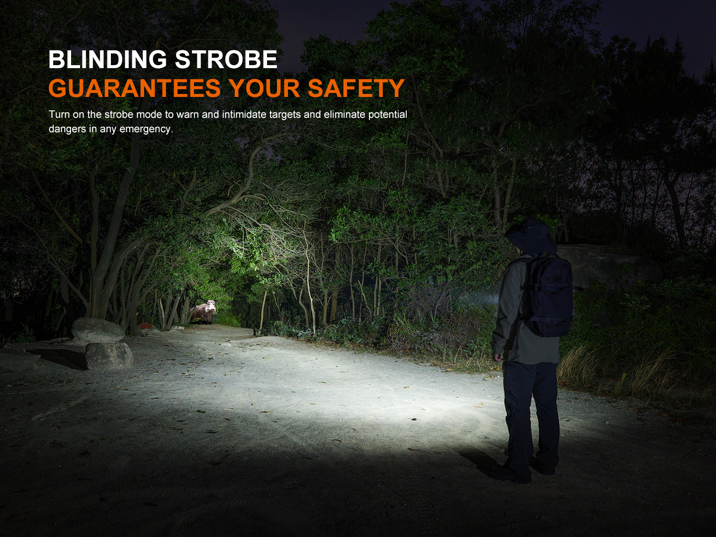 Fenix LD36R Multicolor Flashlight Fenix Store