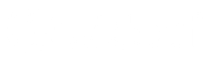 Wildcat Mini BMX