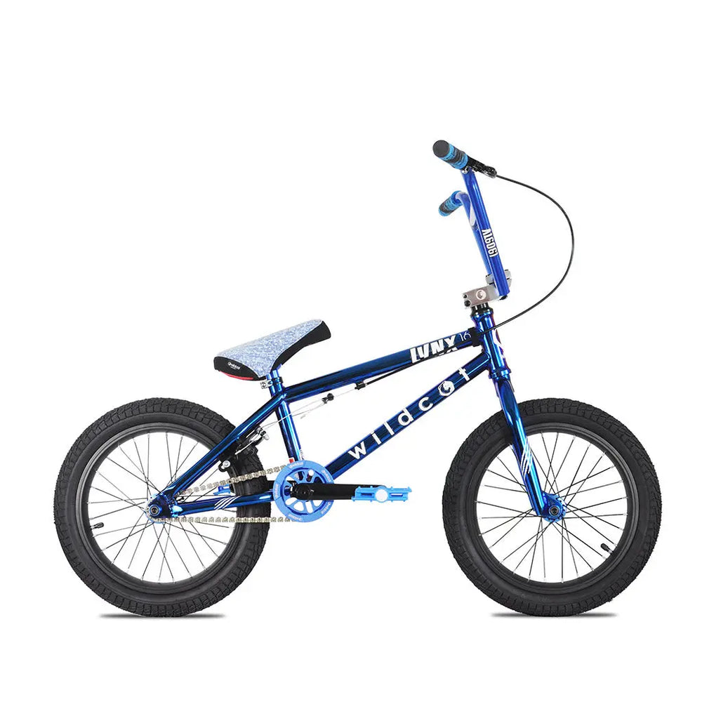 wildcats mini bmx